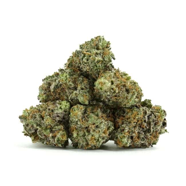 ZONUTZ Sativa