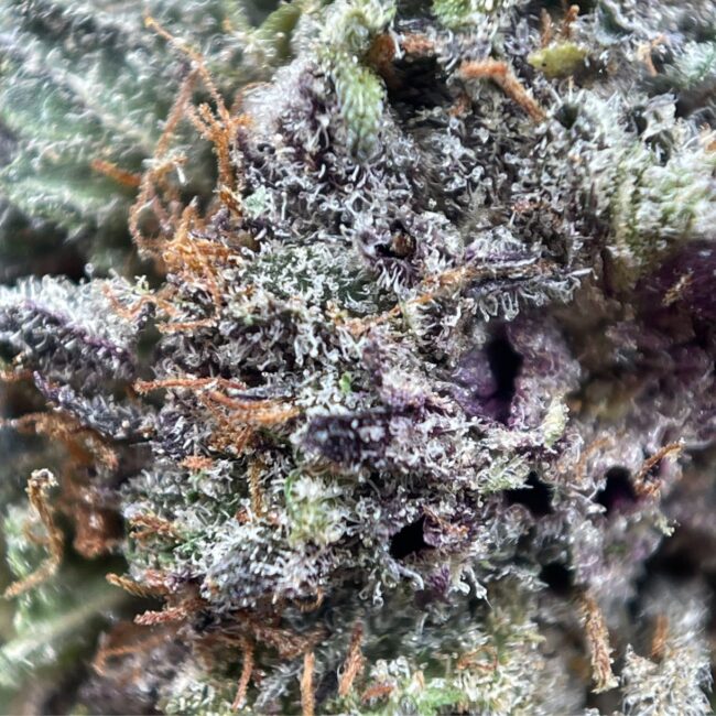 28gr - GRAPEFRUIT KUSH - INDICA - (AAA) - Image 2