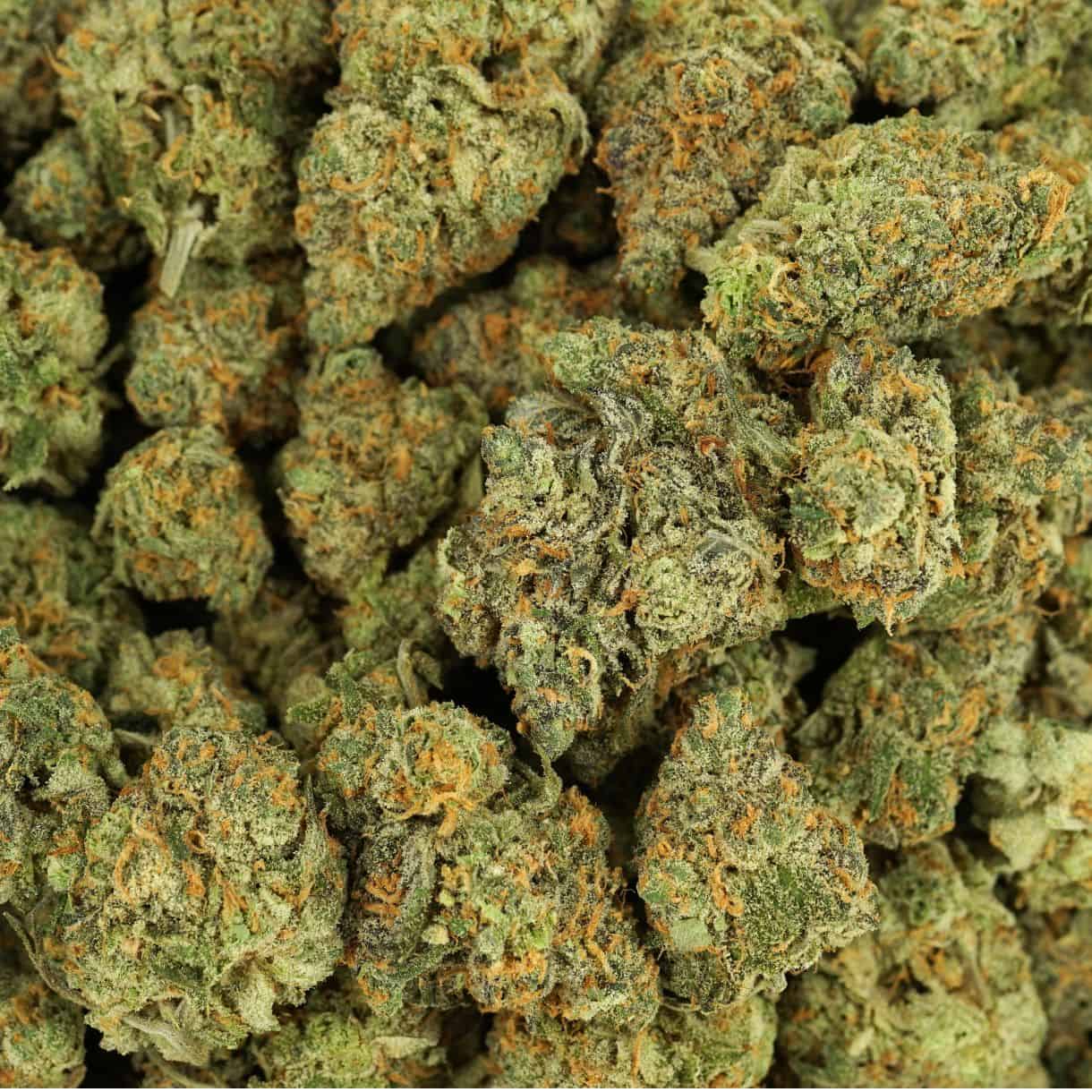 28gr - GOUDABERRY - INDICA - (AAA) - Image 3