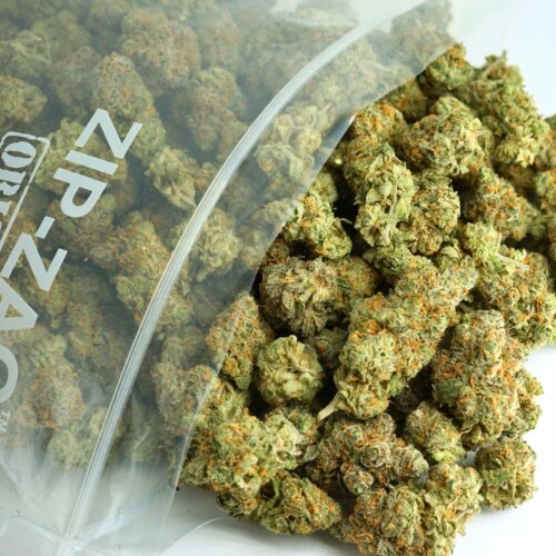1/2p - GOUDABERRY (BULK) - INDICA - (AAA)