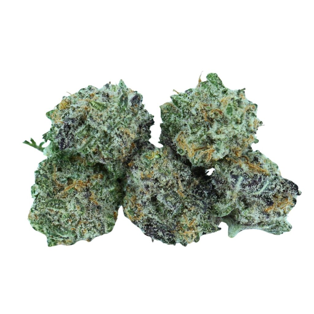 buy hybrid flower online