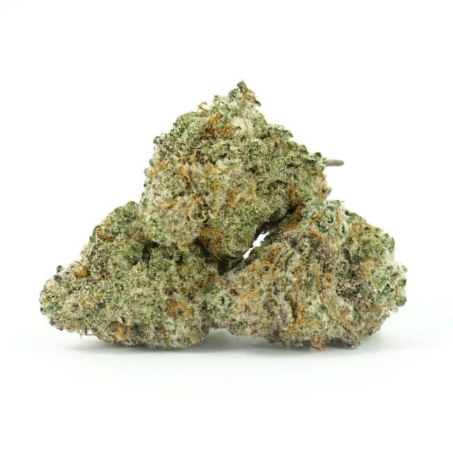 MAC1 Smalls