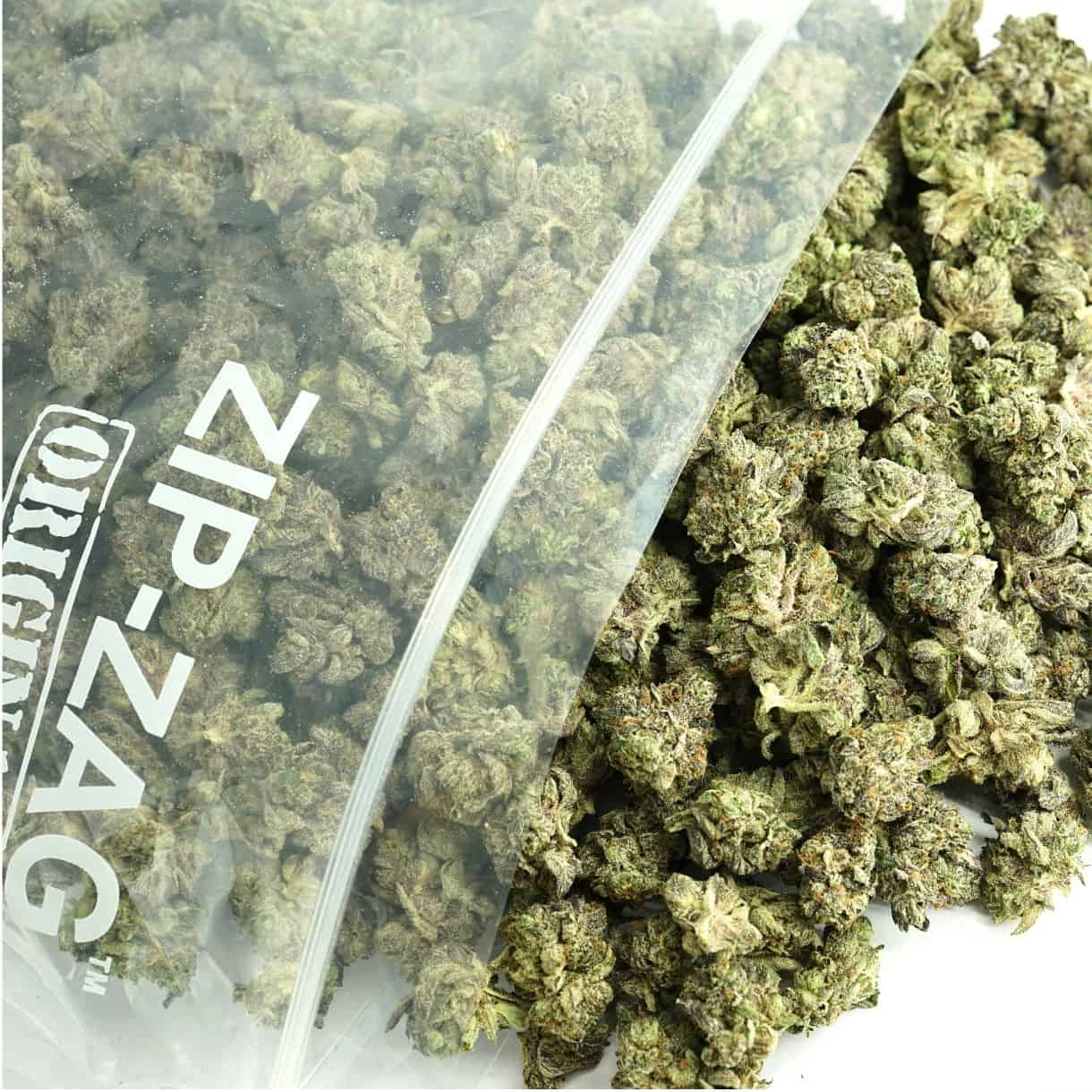 Source photograph: 1/2p – MASTER KUSH ULTRA SMALLS BULK – INDICA –