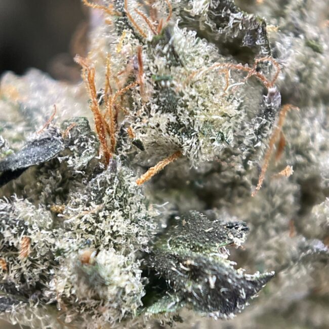 28gr - PINK GREASE (SMALLS) - INDICA - (AAAA) - Image 2