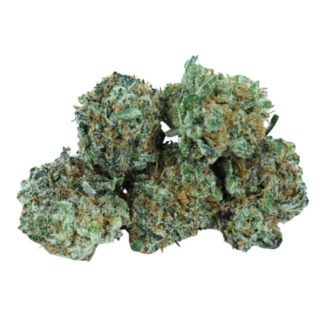 1/2p - LEMON TART (MICROS) (BULK)- SATIVA - (AAA) - Image 3