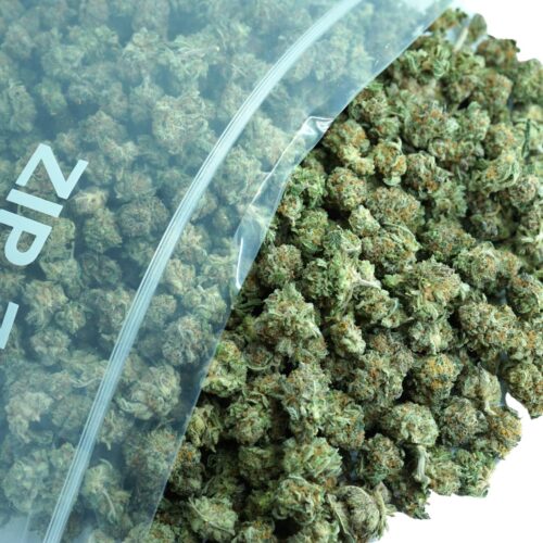 1/2p - LEMON TART (MICROS) (BULK)- SATIVA - (AAA)