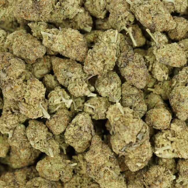 pp gorilla mac full
