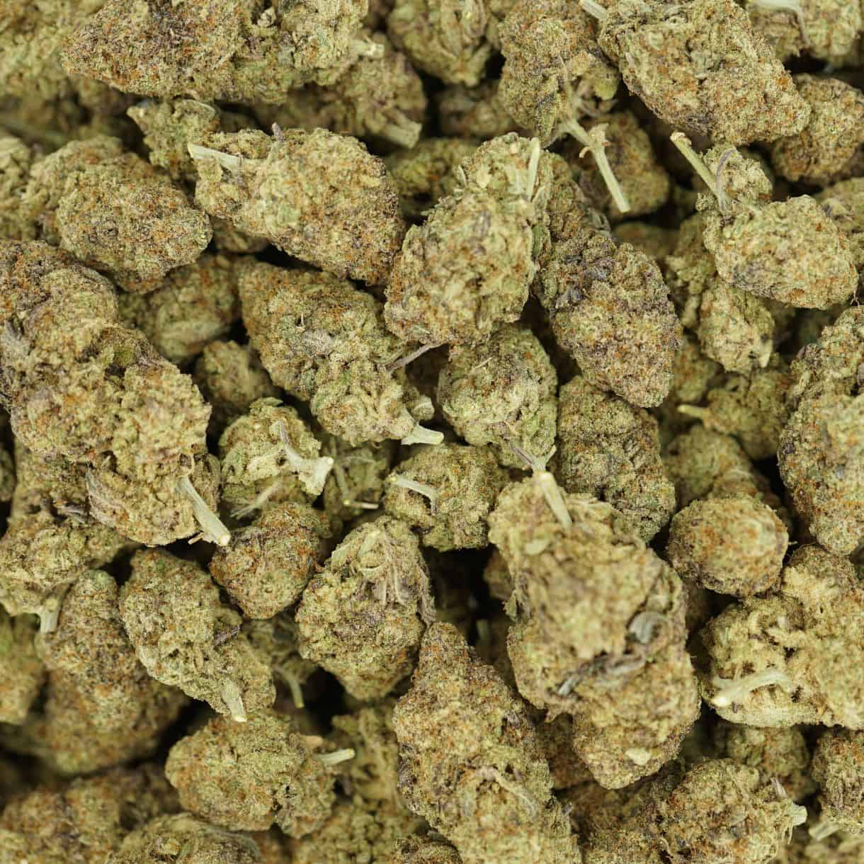 28gr - GORILLA MAC - BALANCED HYBRID - (AAA) - Image 3