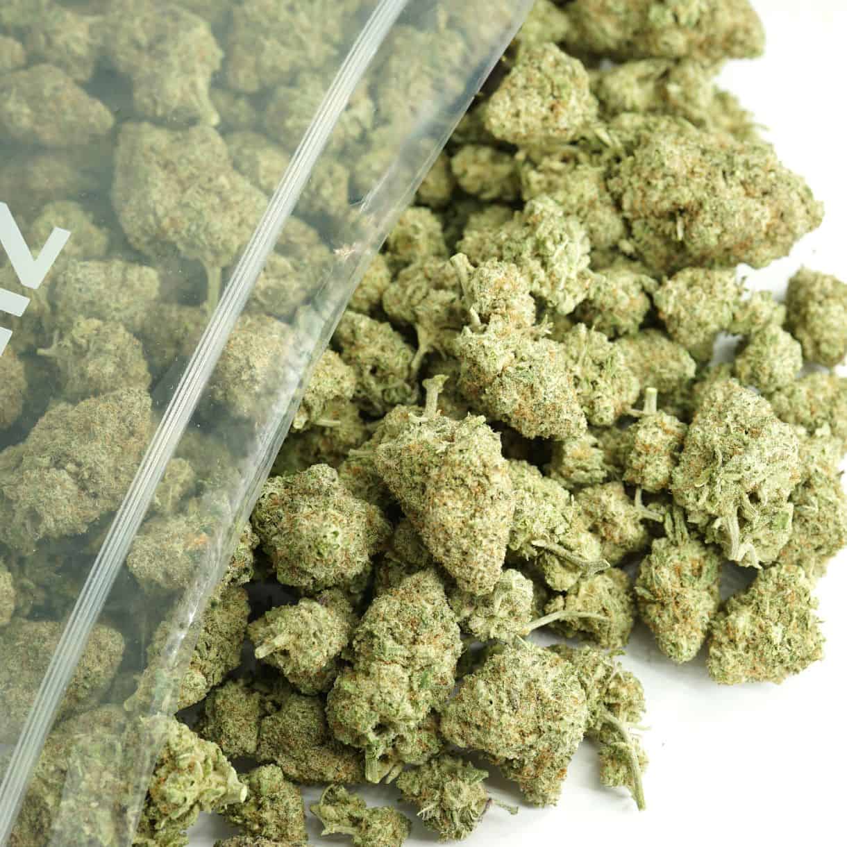 1/2p - MAC1 (BULK) - BALANCED HYBRID - (AAA)