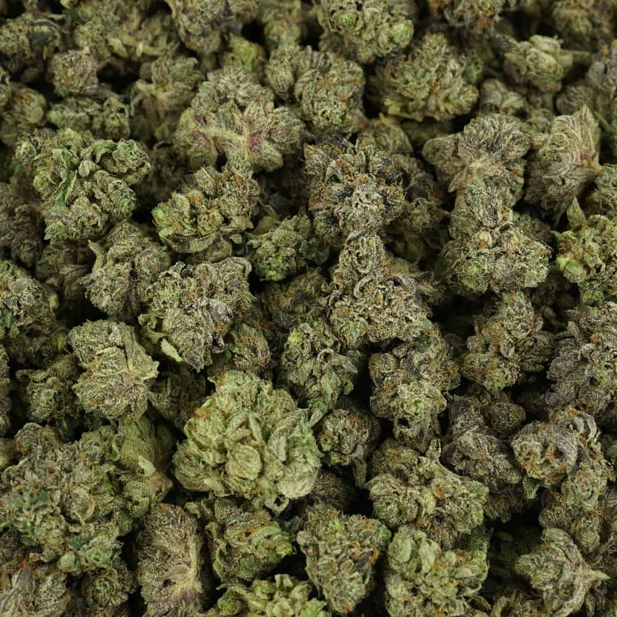 Euphoria Budder
