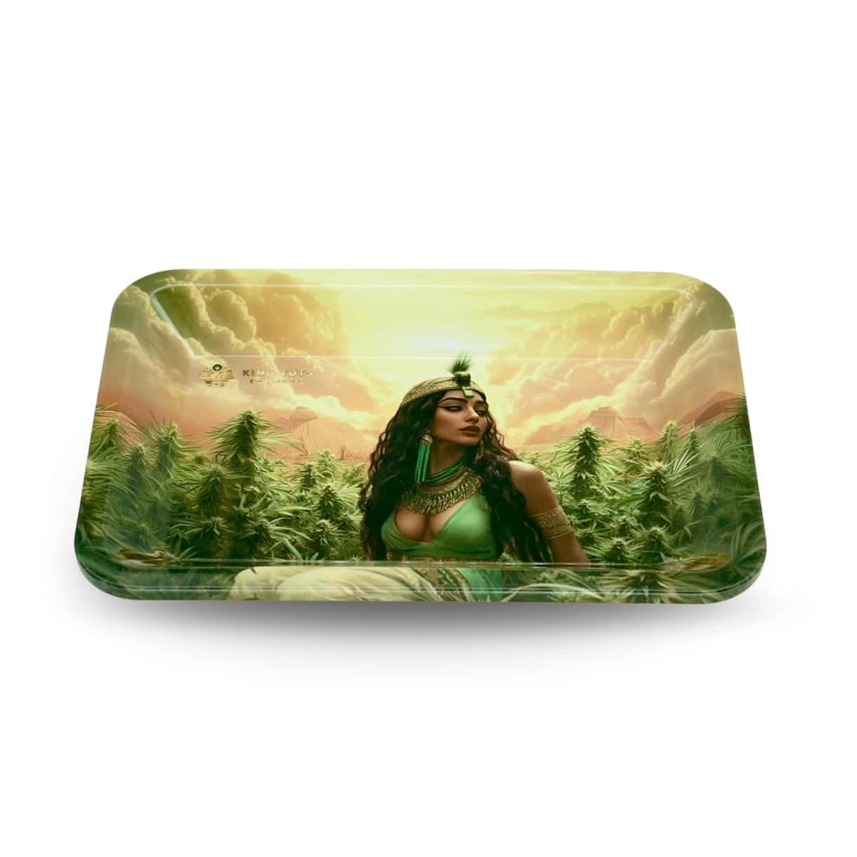 7x5 Tray