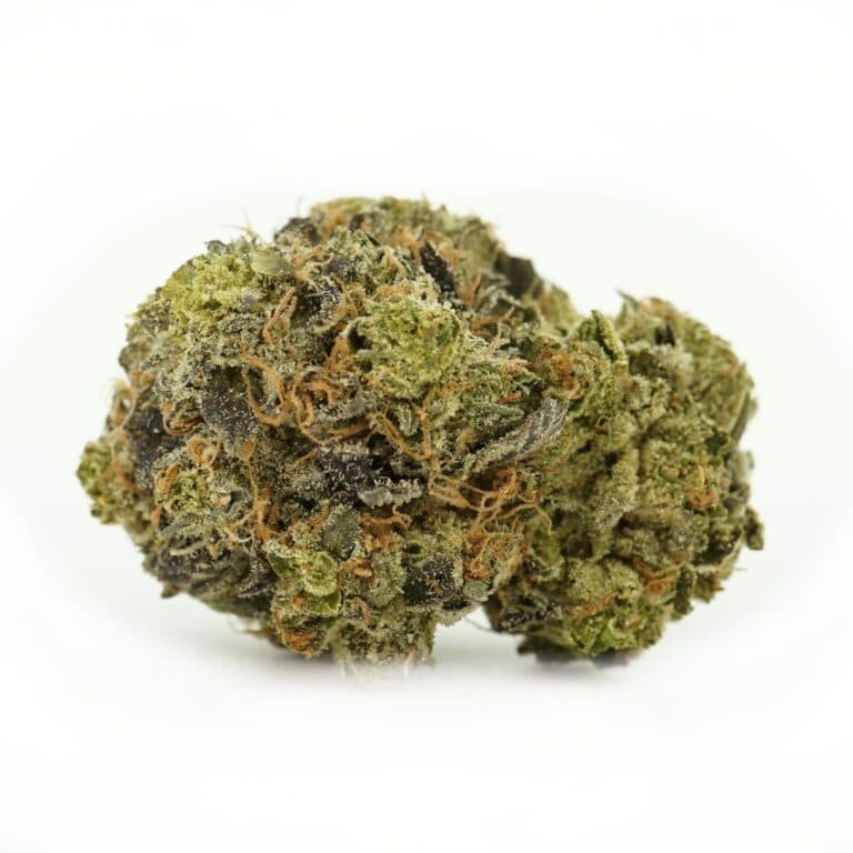 Hindu Kush Indica