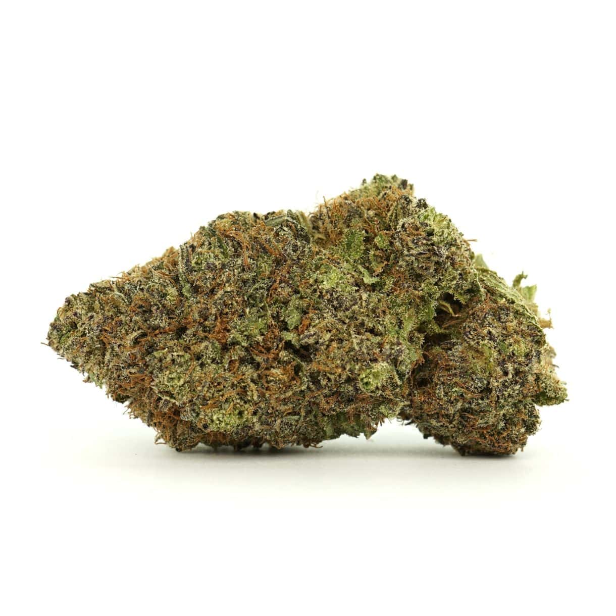 Jealousy Sativa