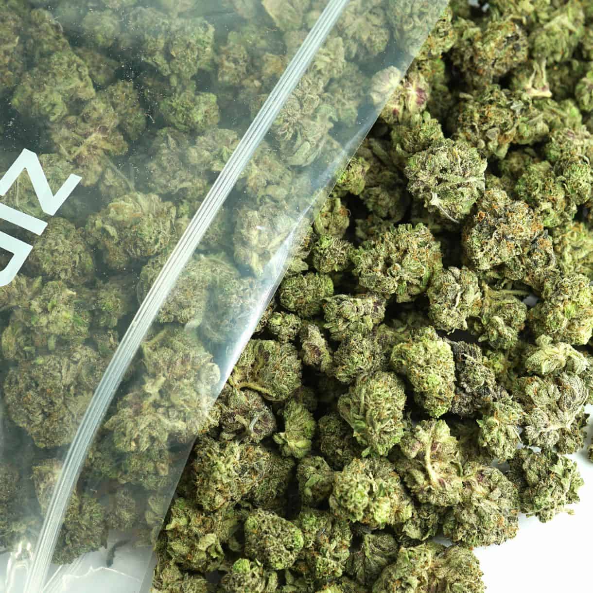 Platinum Indica