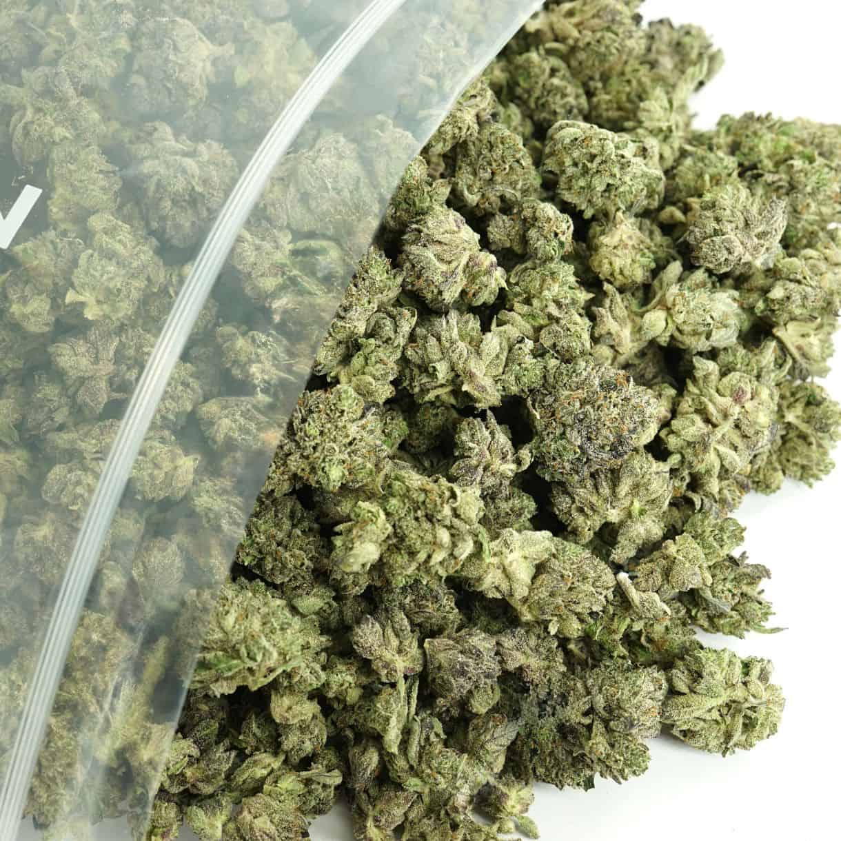 1/2p - TOM FORD PINK KUSH SMALLS BULK - INDICA - (AAA)
