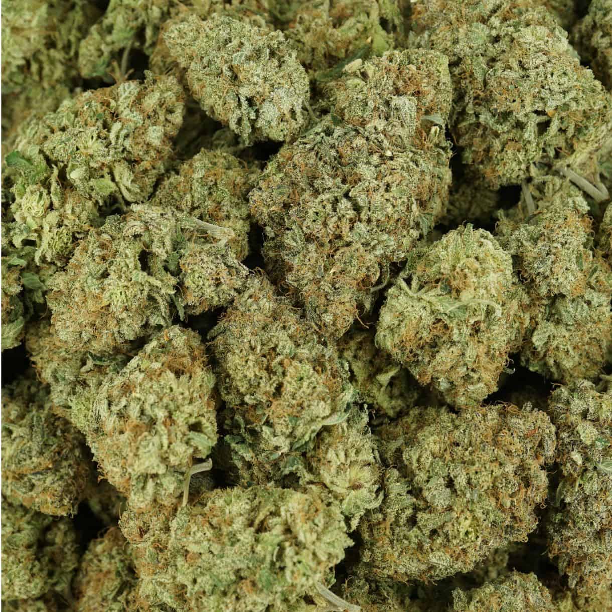 Top Shelf Sativa