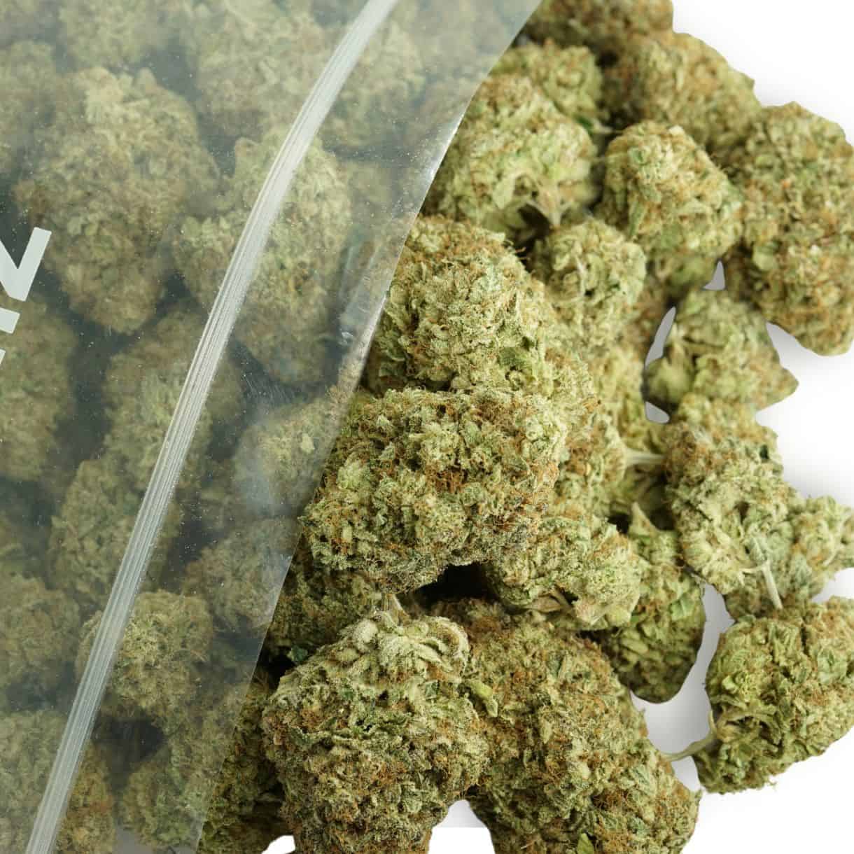 Ice Wine Sativa