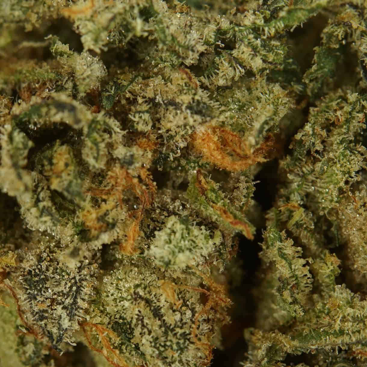 28gr Indica Flower
