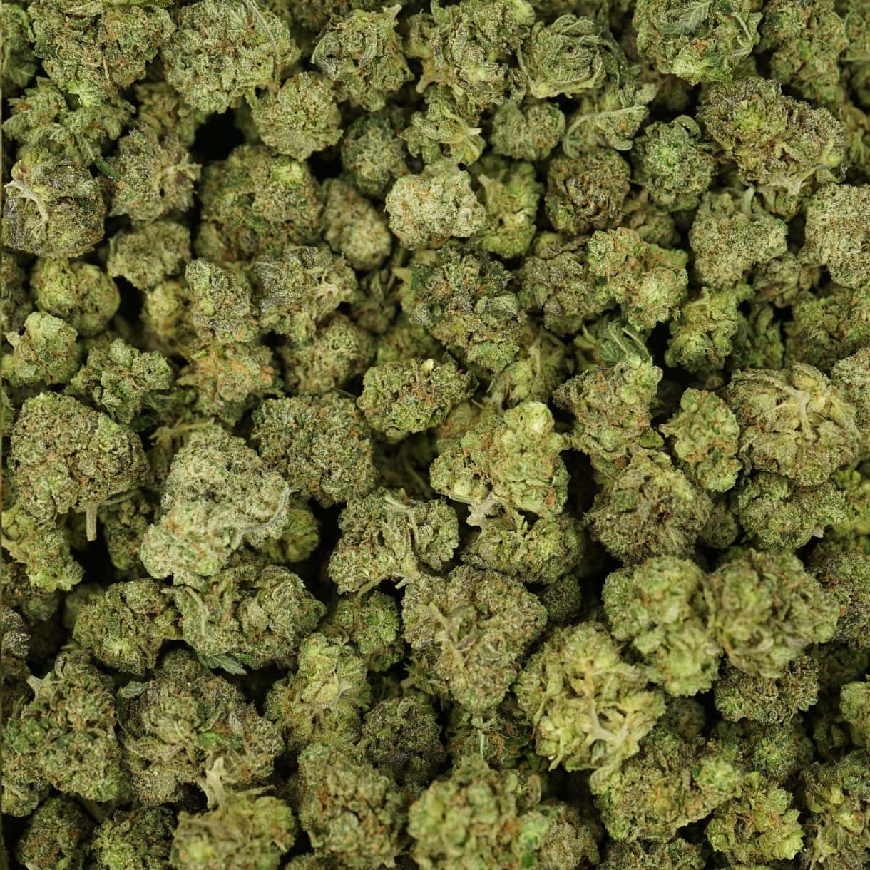 Bulk Indica Extract
