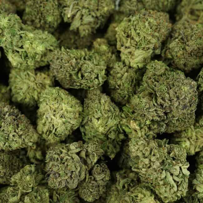 pp grape nn