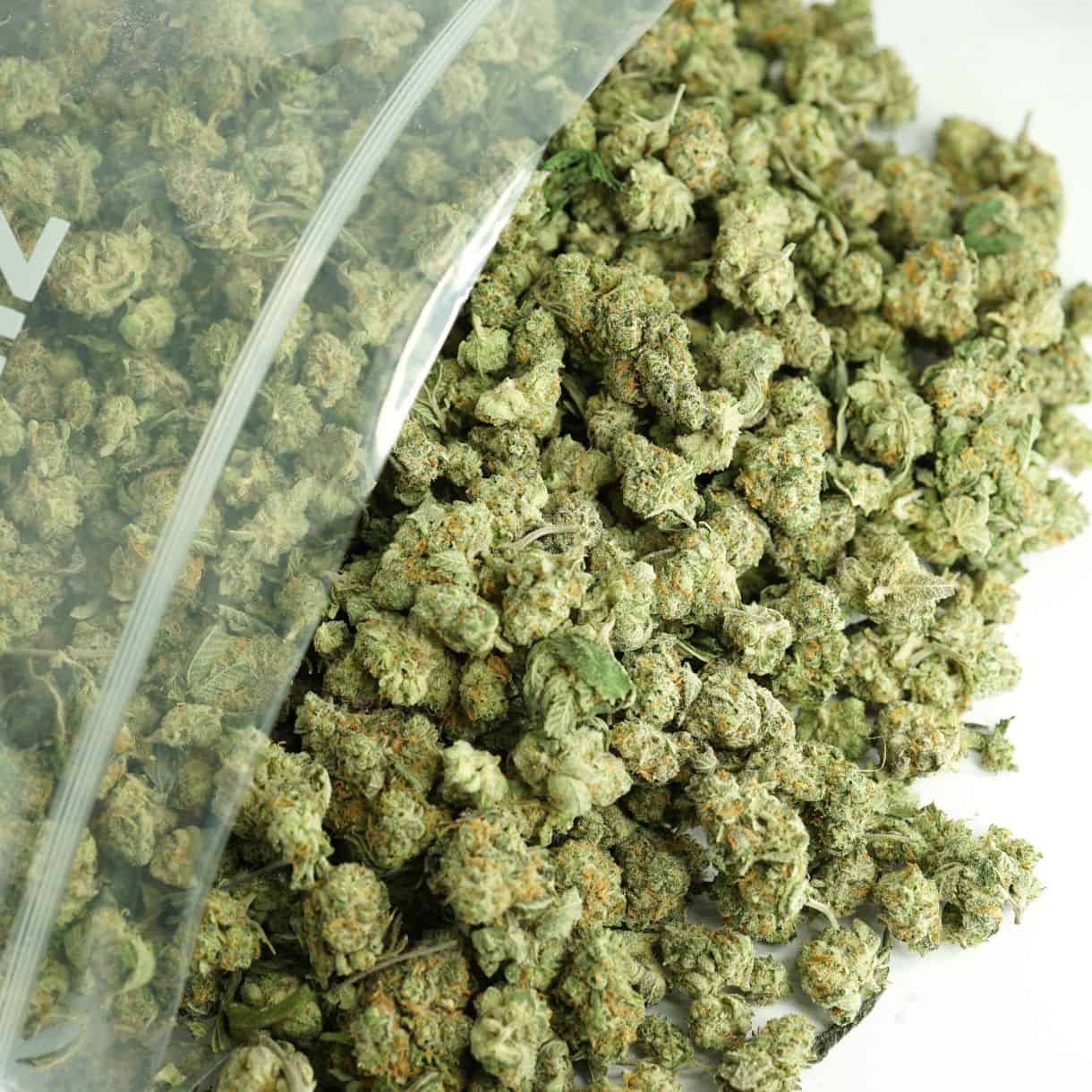 Sunset Pop Indica
