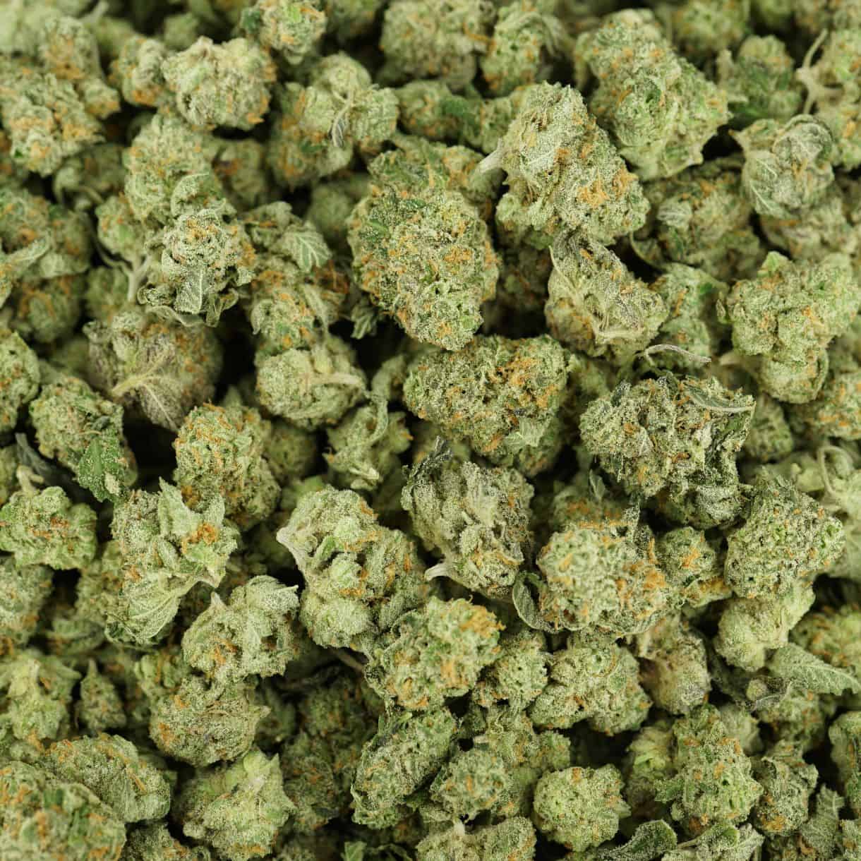Bulk Blackberry