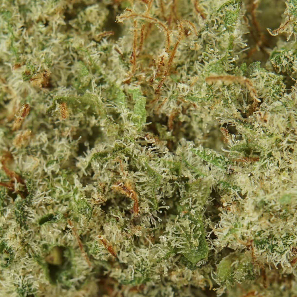 AAAA Cannabis
