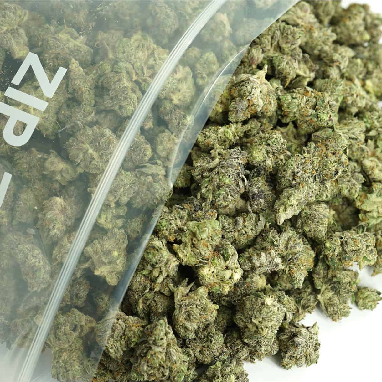 Source photograph: 1/2p – PLATINUM PINK SMALLS BULK – INDICA –