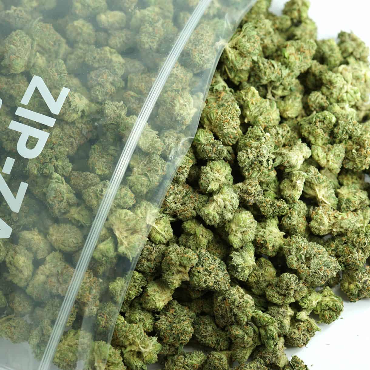 1/2p - PINE TAR KUSH SMALLS BULK - INDICA - (AAA)