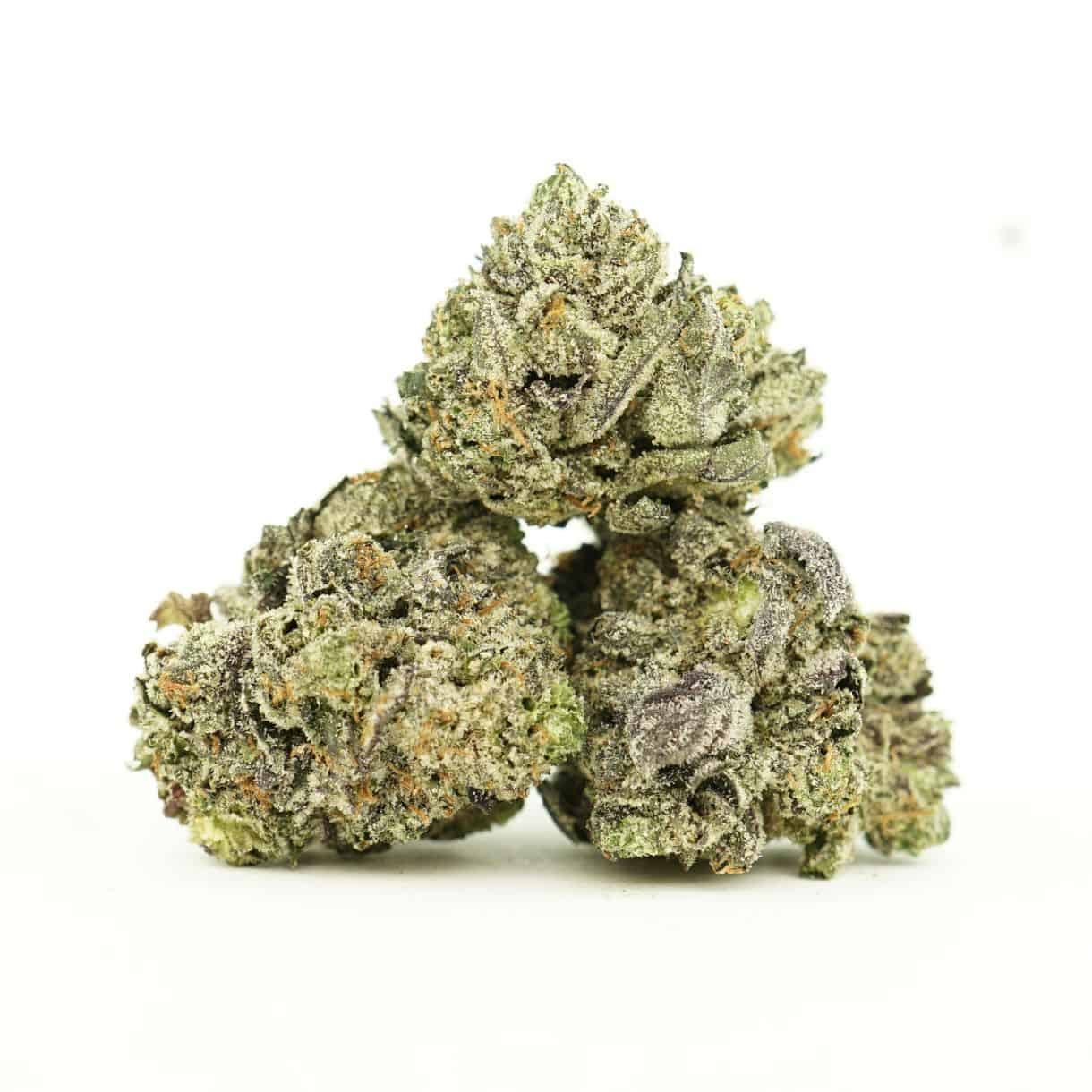 Golden Teacher Pack