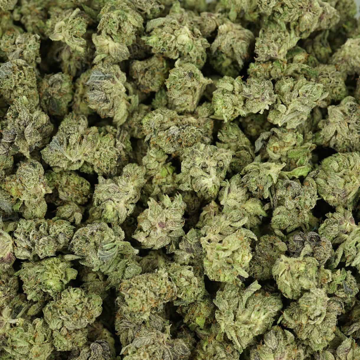 Uplifting Sugar Wax