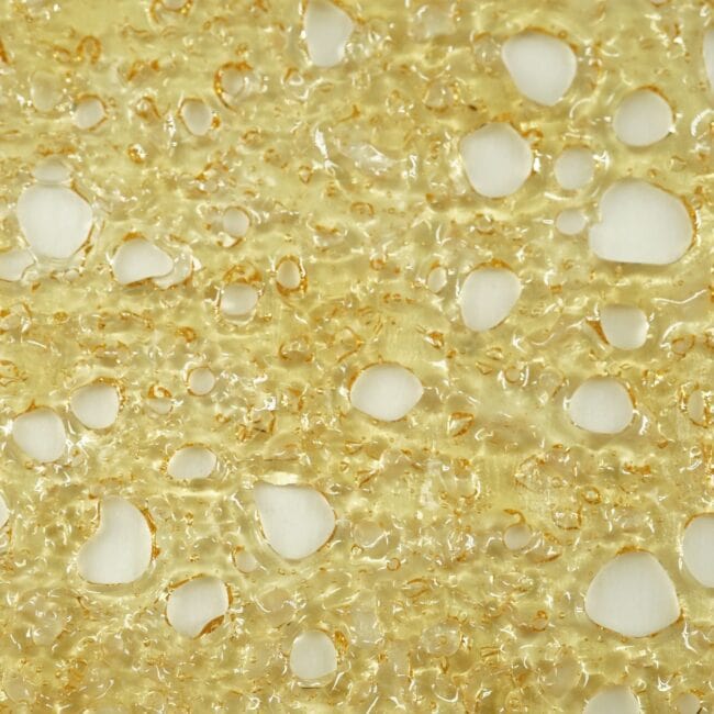 pp gelato 2