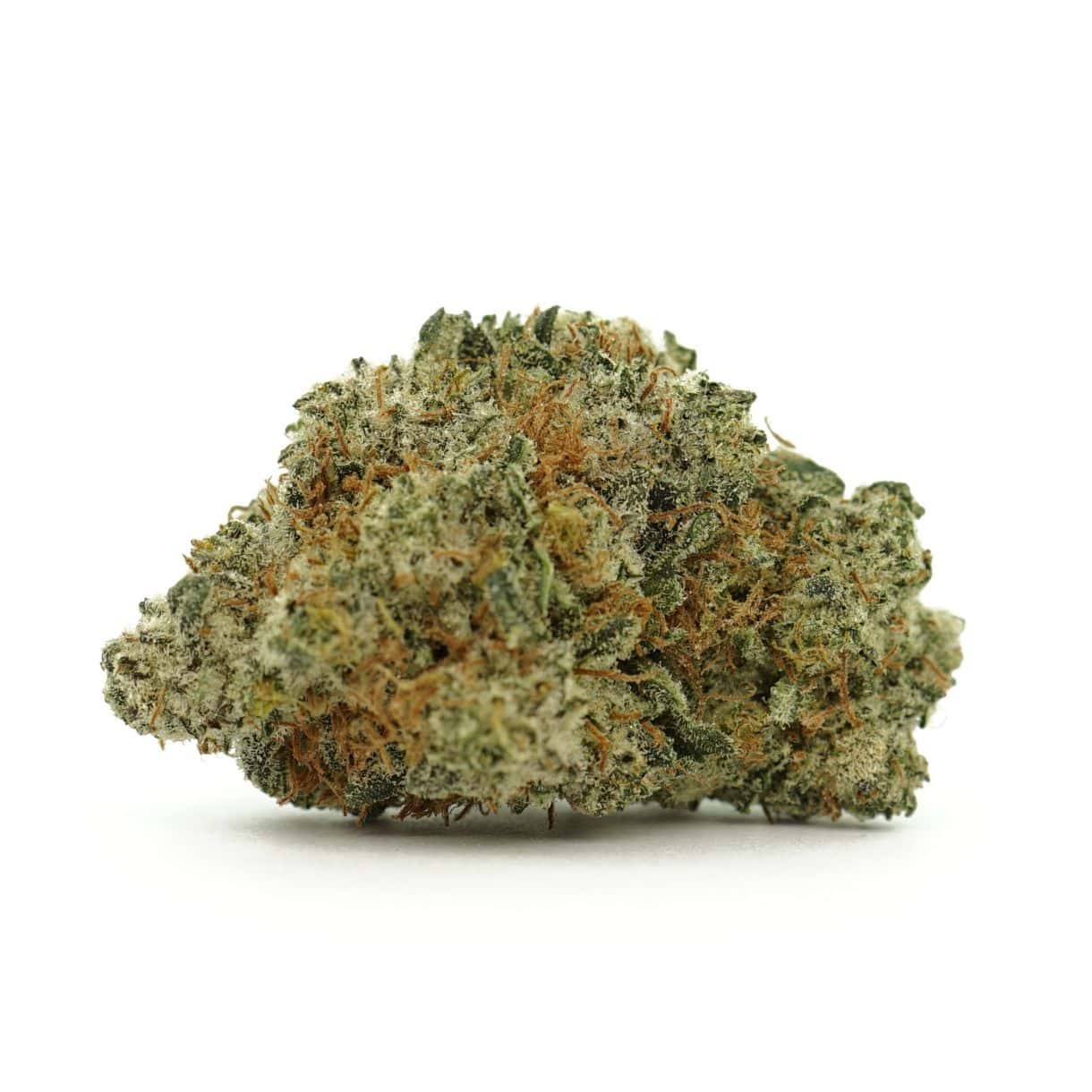 Golden Teacher 28g