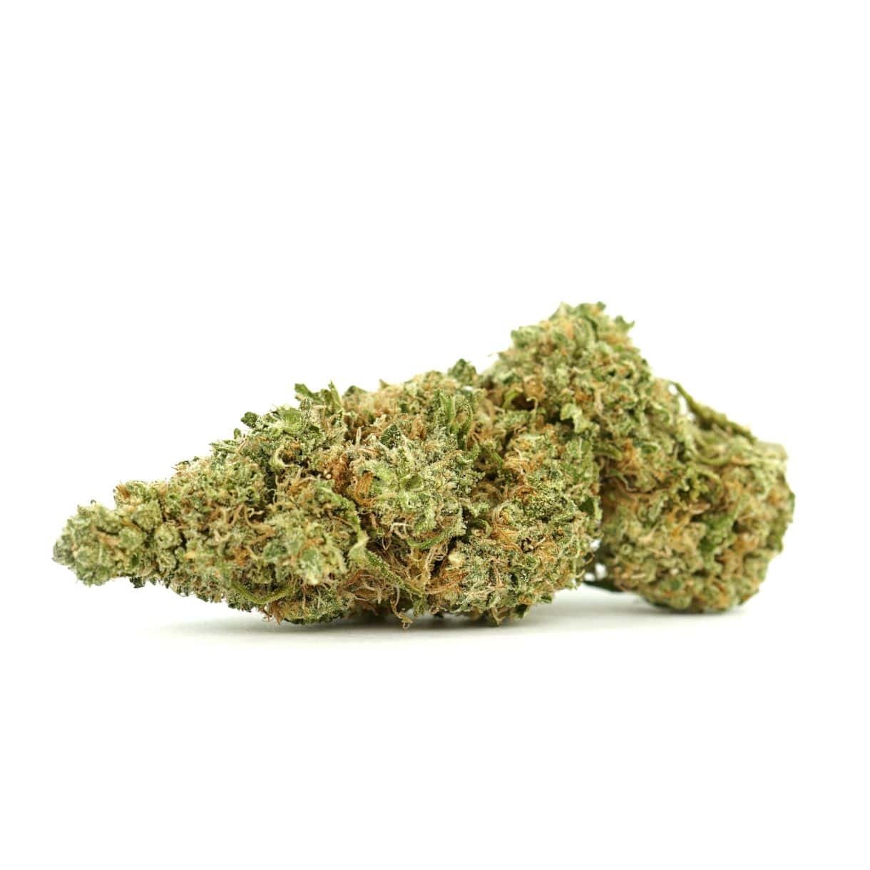 Amsterdamn Indica
