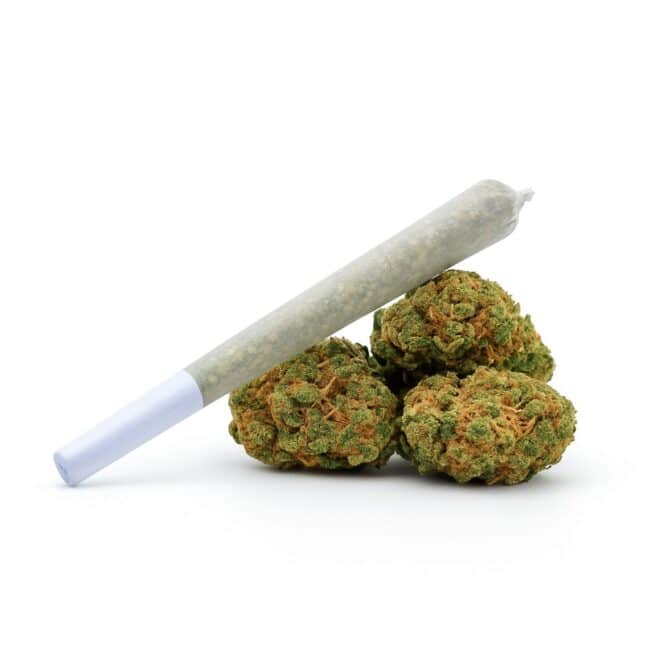 Balanced Joint
