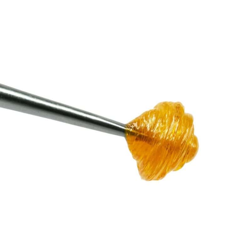 Sherbet Indica