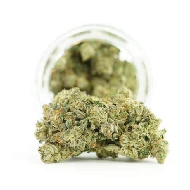 pp purple urkle
