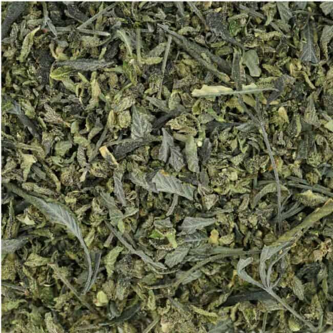 pp tfpk pp