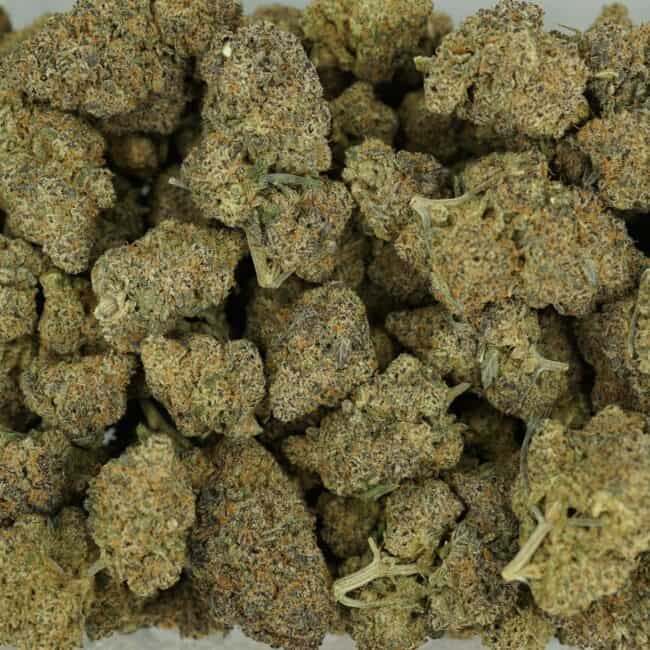 pp gdp m
