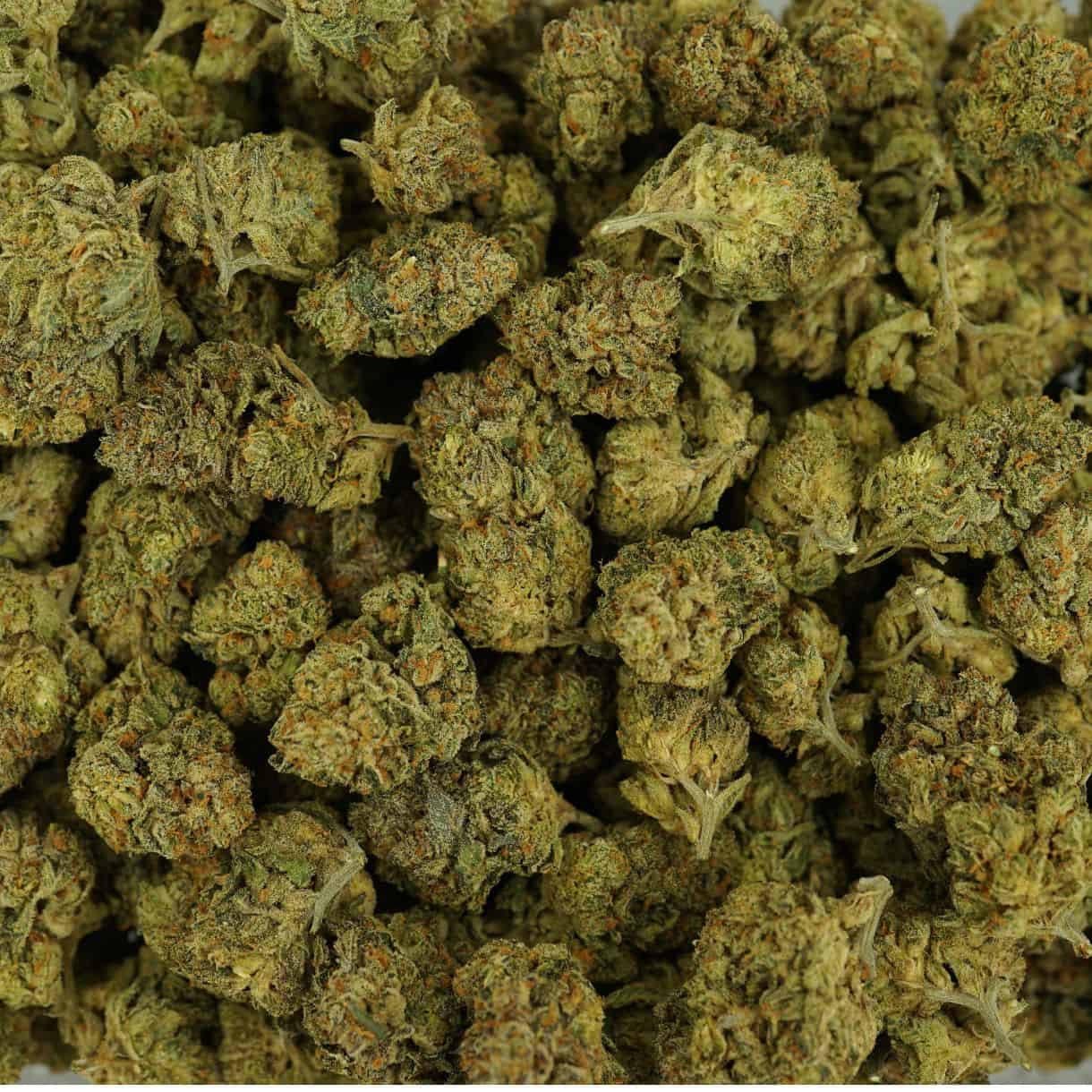 28gr - SPACE CANDY - BALANCED HYBRID - (AAA) - Image 3