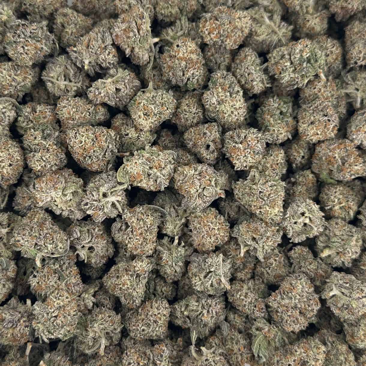 Bulk quantity of sunset pop smalls cannabis flower buds