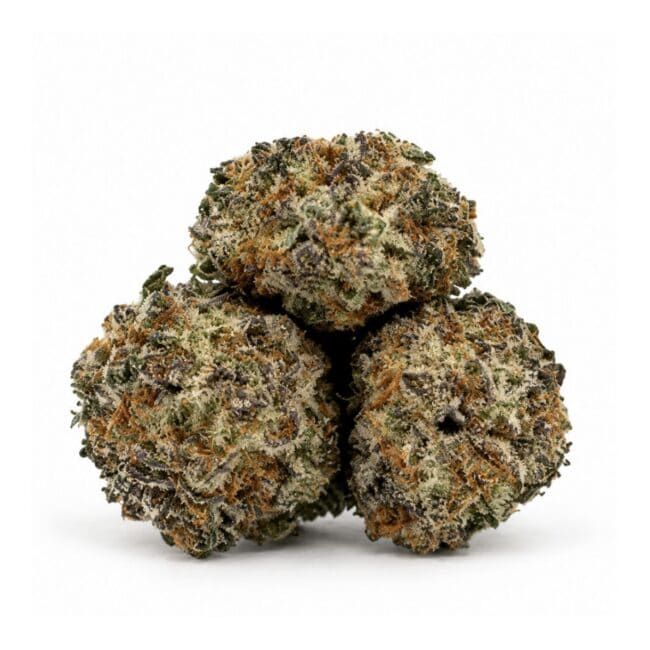 sunset-pop-smalls-buds