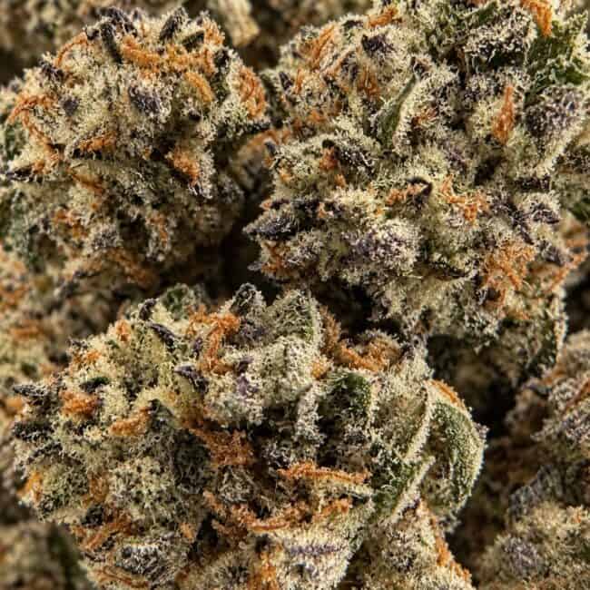 sunset-pop-smalls-macro