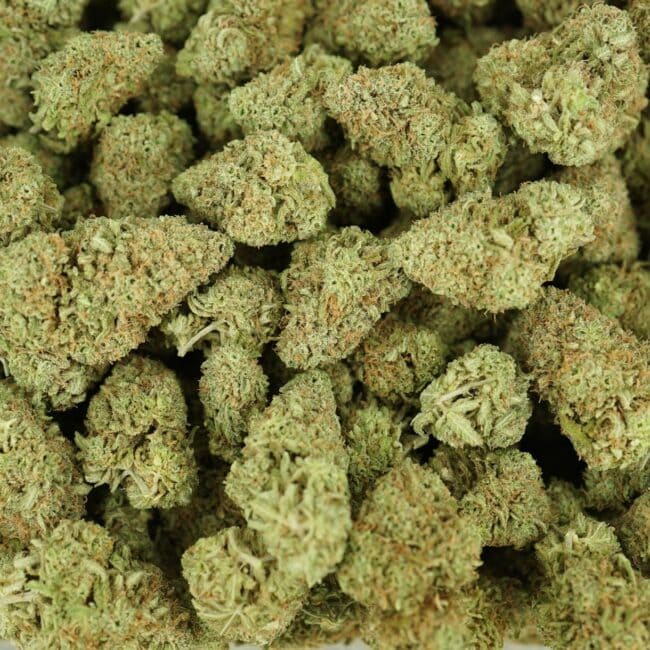 pp SKUNK