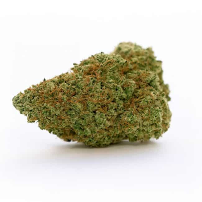 pp SKUNK XCV