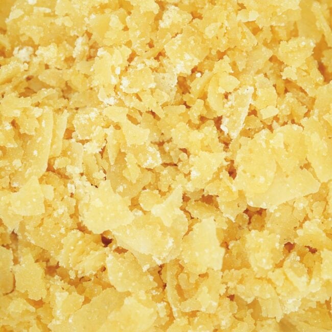 pp bdc n