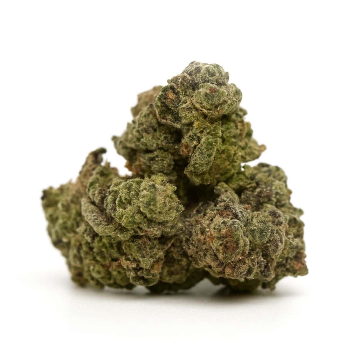 1/2p - JET FUEL GELATO (SMALLS) (BULK) - BALANCED HYBRID - (AAA) - Image 3