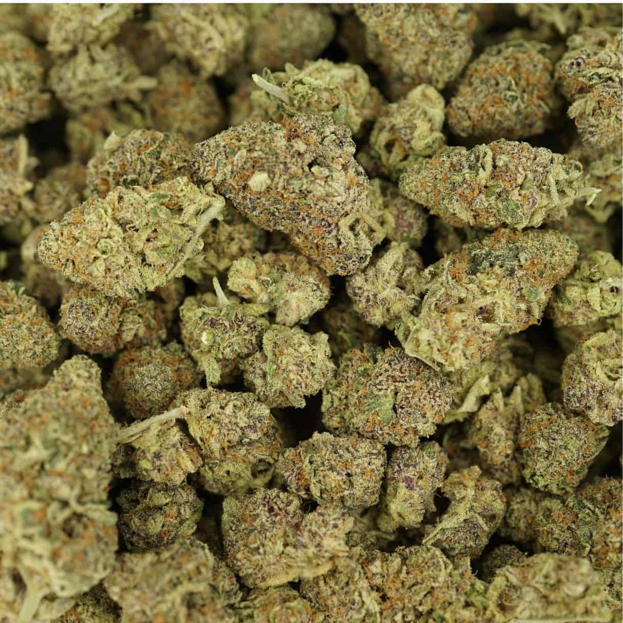28gr - JUNGLE SCOUT COOKIES - INDICA - (AAA) - Image 3