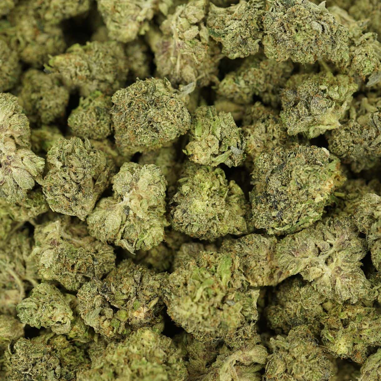 28gr - PINK 2.0 - INDICA - (AAA) - Image 3