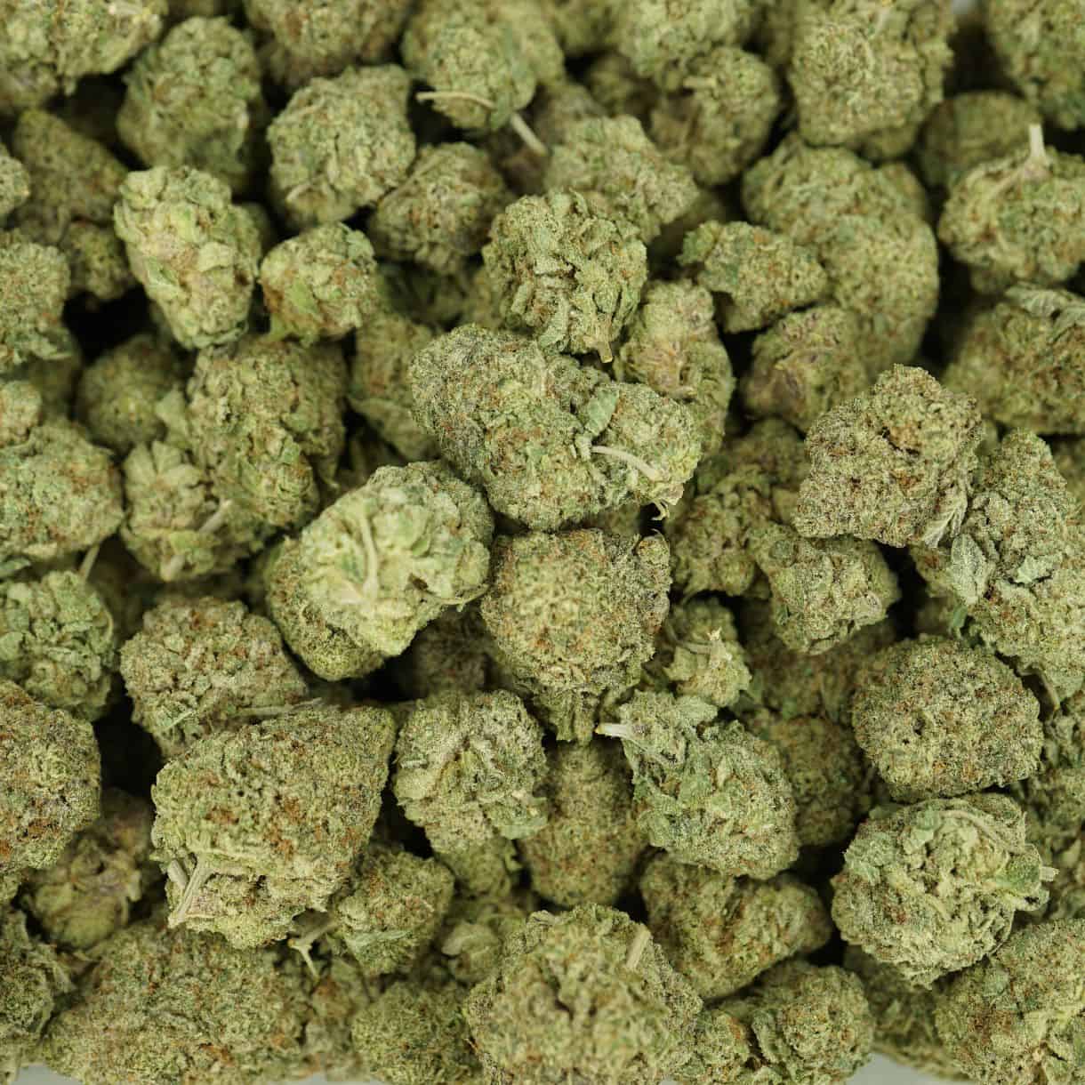 28gr - POWER PUNCH - BALANCED HYBRID - (AAA) - Image 3